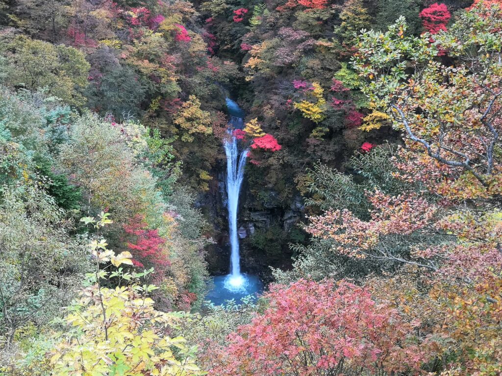 Nasu waterfall in fall 2022