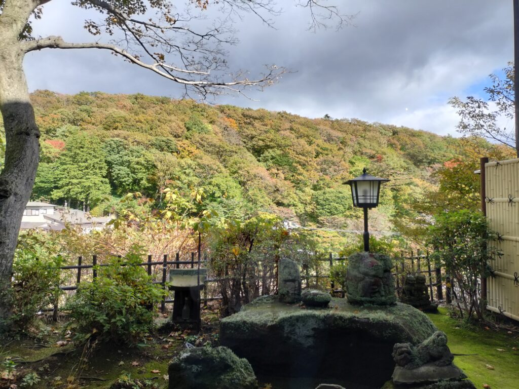 Fall leaves in Nasu Onsen