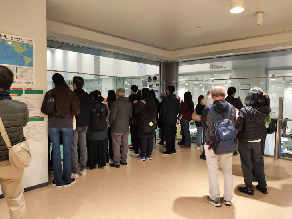 Toyosu tuna auction viewing room